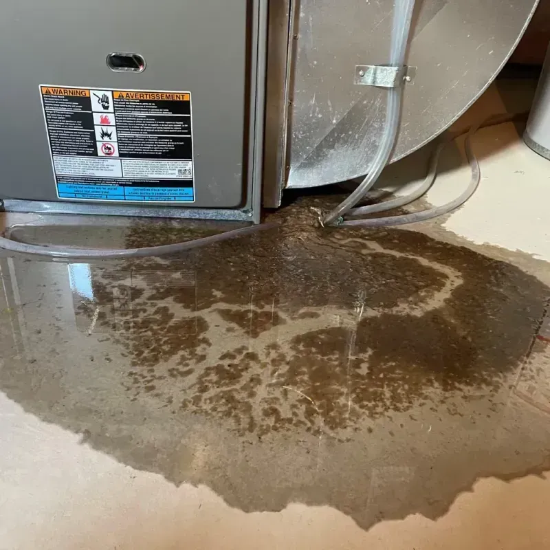 Appliance Leak Cleanup in Lake Latonka, PA